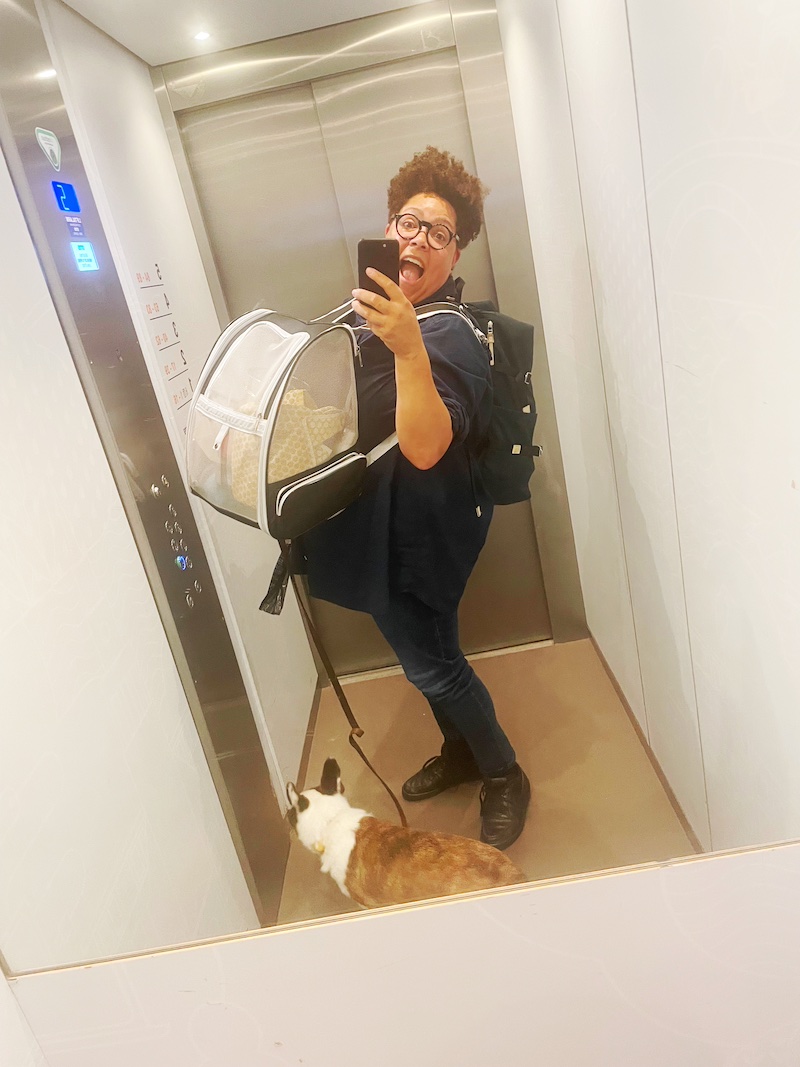 Person taking a selfie in an elevator with two large backpacks and a dog