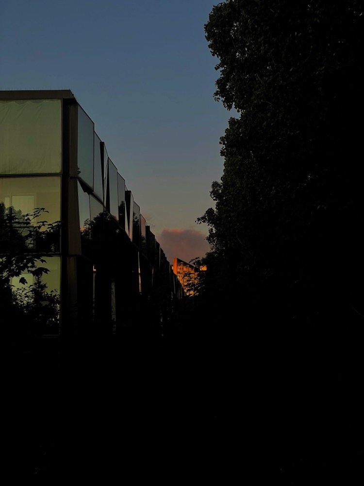 A sunset reflected in an apartment building, in the front, an all-glass apartment building 